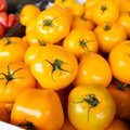Viis maitsvat ideed, kuidas söömisest üle jäävad tomatid purki pista