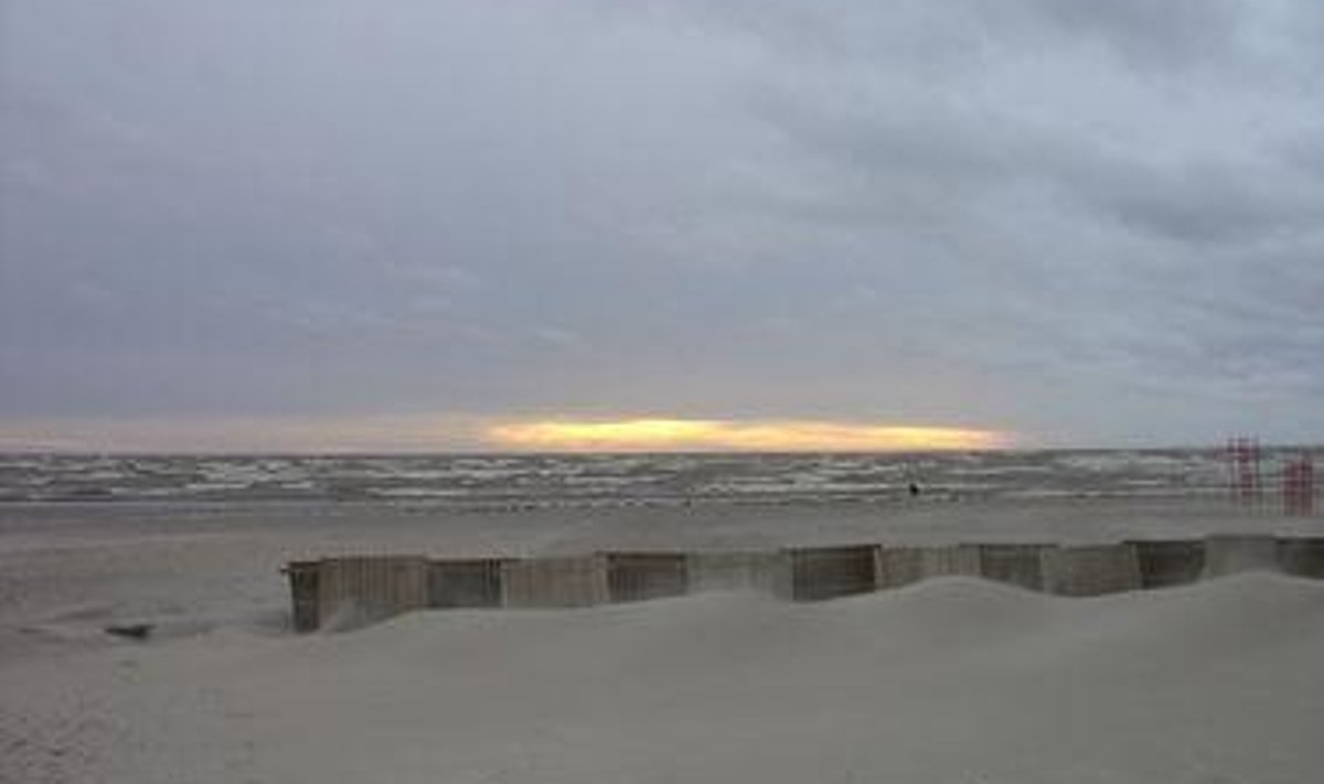 Delfile saadetud foto