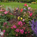 “Мой дом летом” | Роскошный сад “с цаплями”, окруженный заботой и любовью