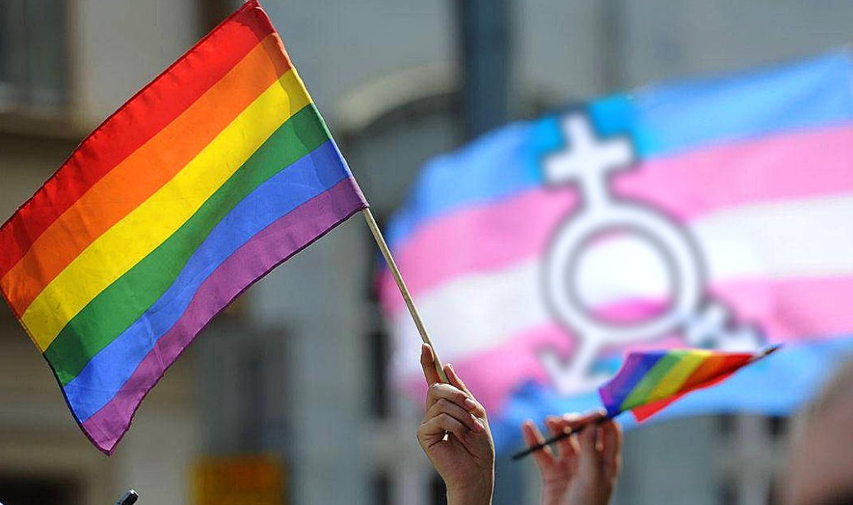 Прайд-флаг (радужный) и флаг трансгендерных людей (бело-розово-голубой)