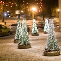 Vene ilmaportaali prognoos: Eestis on lootust valgetele jõuludele