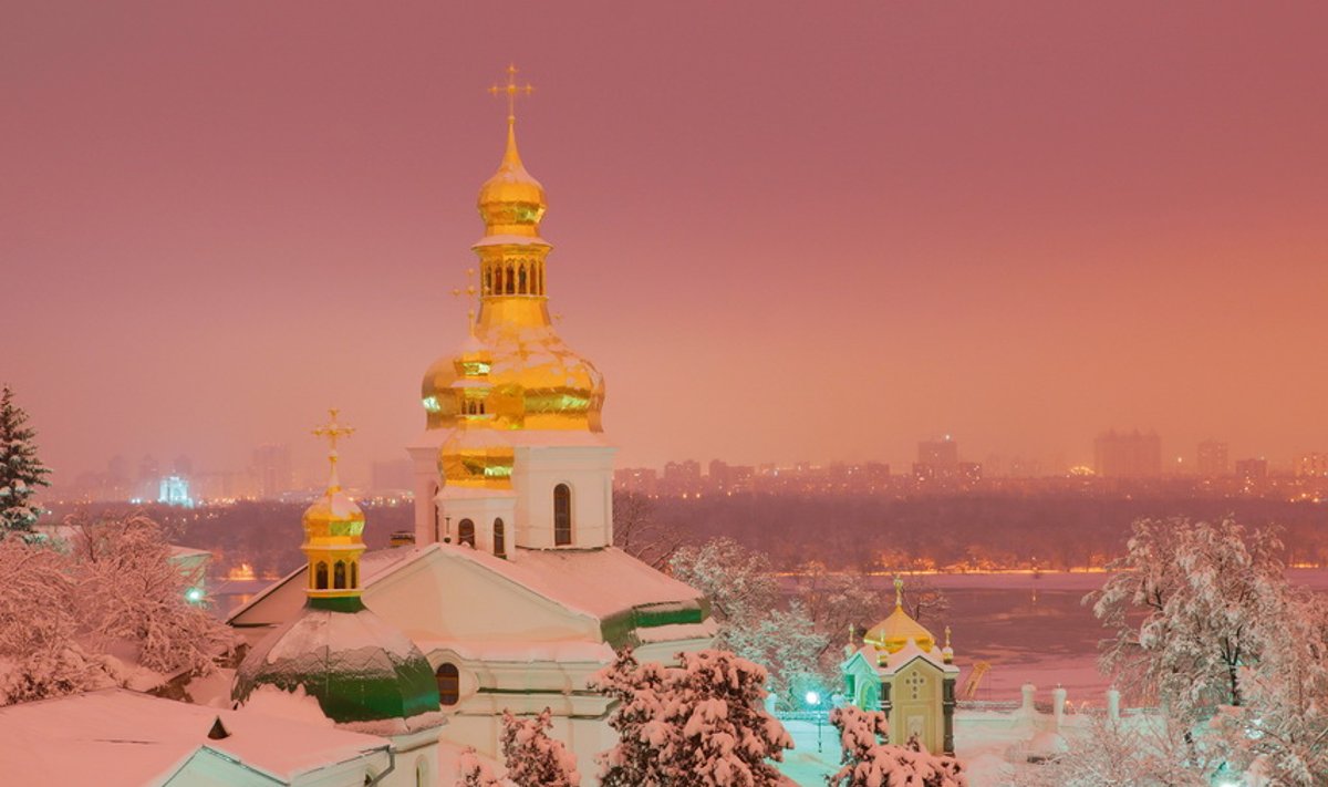 Лавра зимой