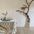 APPI, me ostsime maja | Kuidas teha vanast kuivanud sirelist kassile ronimispuu