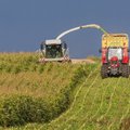 Maisimaa Eesti: meil kasvab mitu korda rohkem maisipõlde kui kümnendi eest