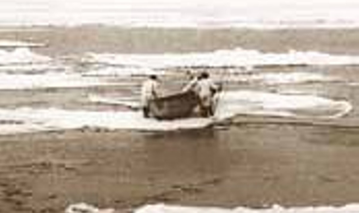 Hülgeküti töö oli eluohtlik – jääl võisid läbi kukkuda ja uppuda, jää võis ära viia jmt. (foto Eesti Meremuuseum)