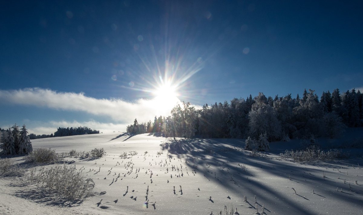 Talvel-on soojem, päike paistab ning lumi sulab