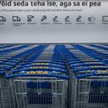 VIDEO | Ikea on Eestis! Mida poes pakutakse ning kui taskukohased on hinnad?