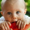 Mida anda vahepalaks: tervislikud snäkid sinu beebile