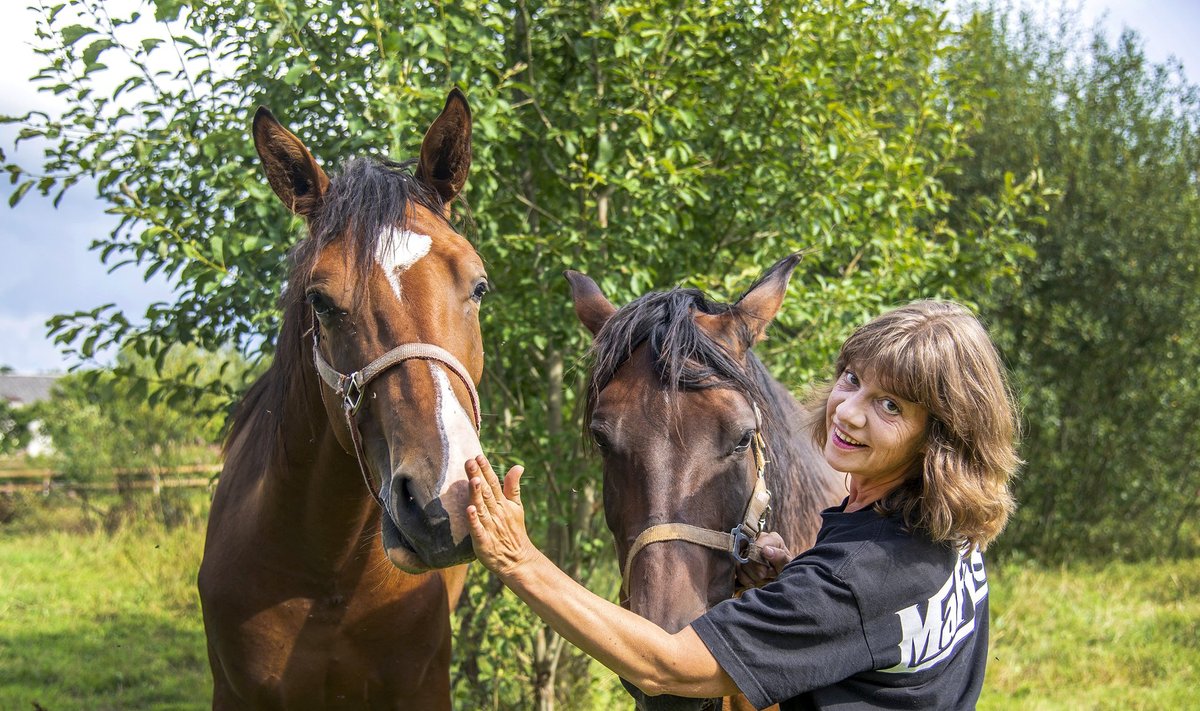 Hobused on Kati sõbrad-elukaaslased.