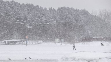 По всей Эстонии с утра метель, на Северо-Востоке выпадет до 18 см снега. Что нас ждет в выходные?