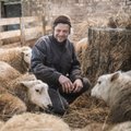 VTA võtab tähelepanu alla loomapidajad, kes lambaid enda tarbeks tapavad
