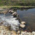 Madala veetaseme tõttu on jõgedesse rajatud ebaseaduslikke kivivalle