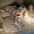 Mis tappis 24-pealise mammutikarja kümneid tuhandeid aastaid tagasi?