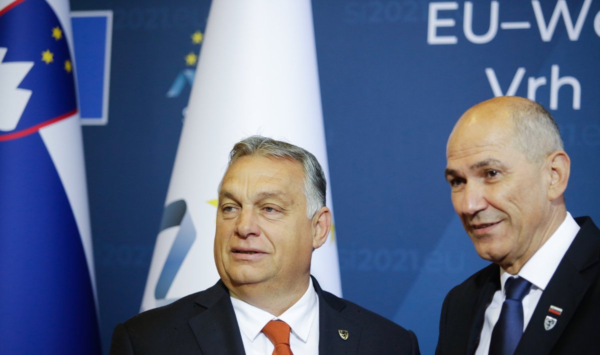 Sloveenia peaminister Janez Janša koos vana sõbra, Ungari peaminister Viktor Orbániga. 