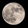 NASA avastus: isegi Kuul on olnud kunagi atmosfäär