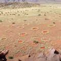 Ученые нашли объяснение феномену появления ведьминых кругов на полях