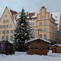 Tallinn otsib jõulukuuske. Mis tingimustel Tallinn sinu kuuse on nõus ära ostma?