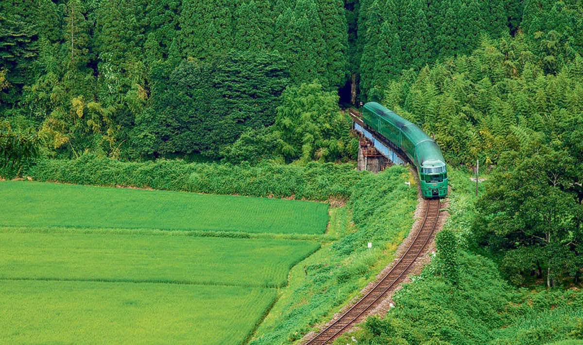 See ei ole Rail Baltic, vaid illustreeriv pilt rongist ja metsast. Kui praegu planeeritav teoks saab, hakkab meie metsi läbima rong, mille tee on loodusest eraldatud kõrgete piiretega. 