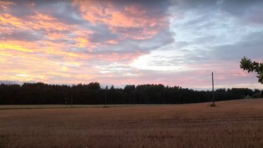 ВИДЕО | Чем эстонские деревни отличаются от российских? Блогер отправился в Южную Эстонию, чтобы это выяснить
