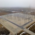 Haruldane toonekurg ohustab Eesti Energia Tootsi hiigelprojekti