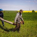 Ukraina põllumehed vajavad iga päev demineerijate abi