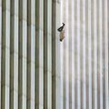 “Kukkuv mees” - Põhjatornist surma poole lennanud mees näitas ameeriklastele, mida nad näha ei tahtnud