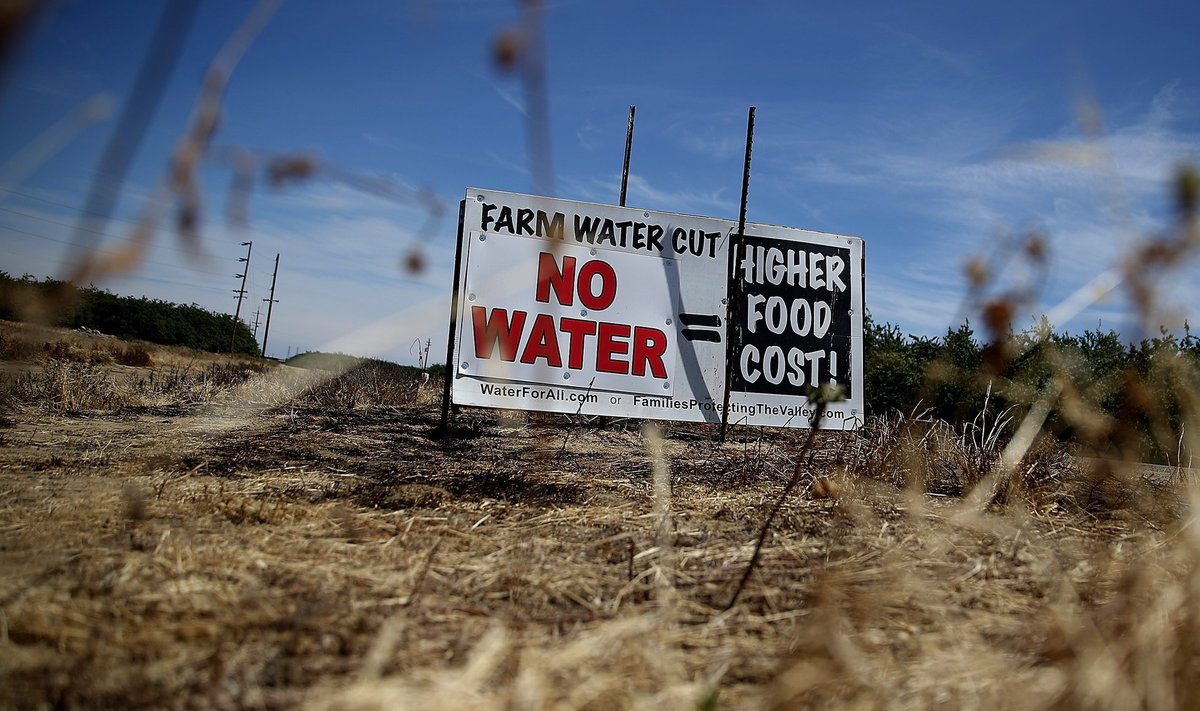 Californias kestis äärmiselt kuiv periood 2011. aasta detsembrist mullu märtsini, see ei lasknud põllumeestel vilja kasvatada ja põhjustas muid hädasid.