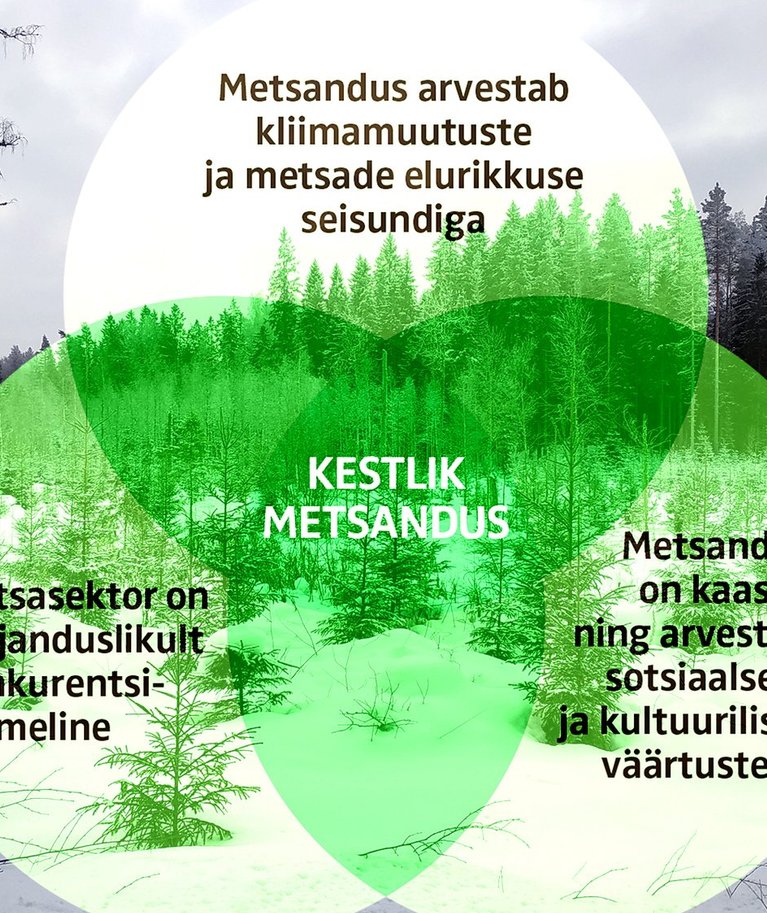 MAK 2030 kavandi põhialused.
