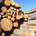 Soome kliimapaneel teeb ettepaneku hakata maksustama puidu põletamist