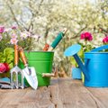 Maikuu aiatööd — millal on õige aeg erinevaid taimi külvata ja istutada?