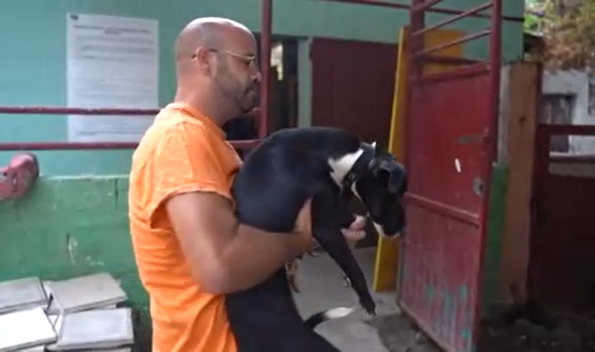 Vabatahtlik päästja koera varjupaika toimetamas