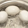 Läheb suuremaks munade värvimiseks? Aga kuidas keeta mune nii, et koor ikka terveks jääks?