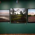 FOTOD | Adamson-Ericu muuseumis näeb Eesti autorite metsa- ja loodusmaastikuid ning loomaskulptuure