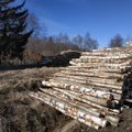 GRAAFIKUD | Puiduturul on hinnad enneolematult kõrged. Küttepuit püstitas absoluutse hinnarekordi