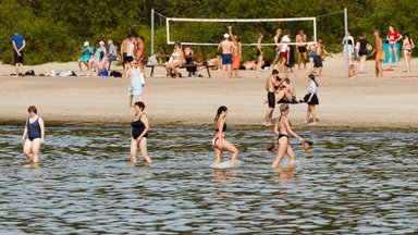 Готовы ли пляжи Таллинна к нашествию ядовитых водорослей? Обзор душевых кабинок