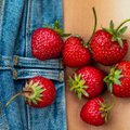 Oluline teave enne kuuma rannapäeva: just sel põhjusel ei tasu peale maasikate söömist päevitama minna 