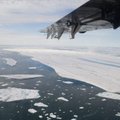 Доклад: Россия ведет агрессивную одностороннюю гонку вооружений в Арктике