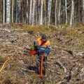 Ekspert: rohke raiumise tõttu on Eesti metsadest saanud süsiniku emiteerijad