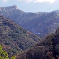 California metsatulekahjude tagajärjed – üks puu suitseb veel kuid hiljem