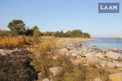 Väheloo saar