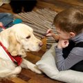 Pole vaid liikuv kaisuloom: kuidas ennetada arusaamatusi koerte ja laste vahel? Psühholoog annab nõu!