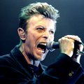 KUULA: David Bowie 70. sünniaastapäeva puhul ilmus helikandja tema viimaste salvestustega