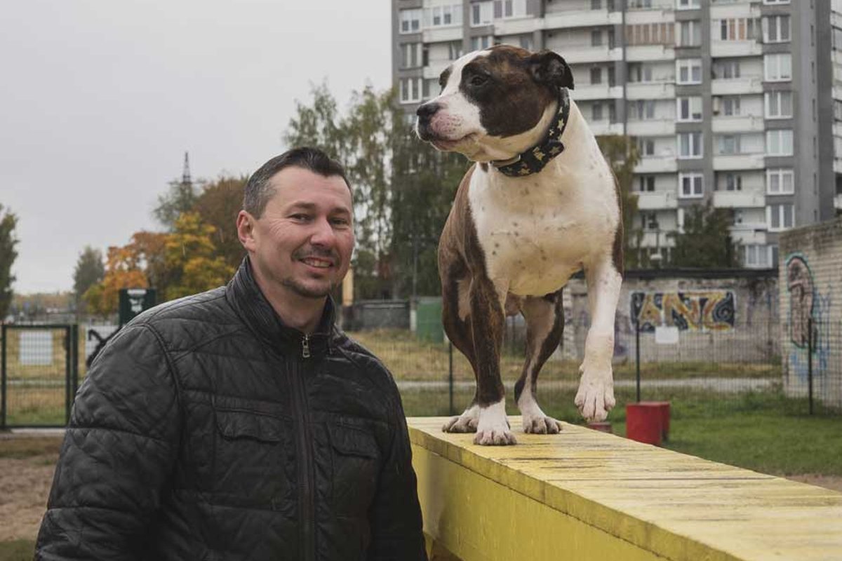 Фоллаут 4 почему не нападают на поселение