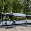Tallinna Linnatransport ostab 27 miljoni euro eest uusi busse