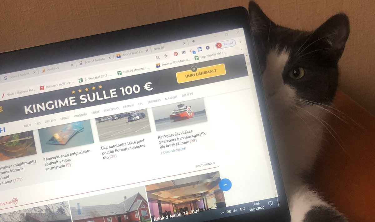 Delfi töötajate kodukontorid