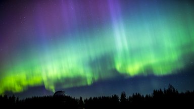 "Надоело целыми ночами сидеть на холоде в лесу": глава Балтийского астрономического сообщества рассказал о том, как построил обсерваторию