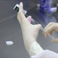 Austraalias loobuti lootustandvast koroonavaktsiinist, sest see muutis katsealused HIV valepositiivseteks
