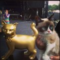 Ameerikas toimunud kassivideote festivalil võitis Golden Kitty auhinna kass, kellel on Facebookis üle 1,2 miljoni fänni