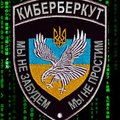 "КиберБеркут" обнародовал документ о расследовании катастрофы "Боинга"