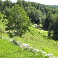 AVASTA VALGAMAAD | Uhked lossid, põnevad sportimisvõimalused, kodumaised muumiad ja parim vein ootavad sind just siin — Eestimaa lõunaväravas